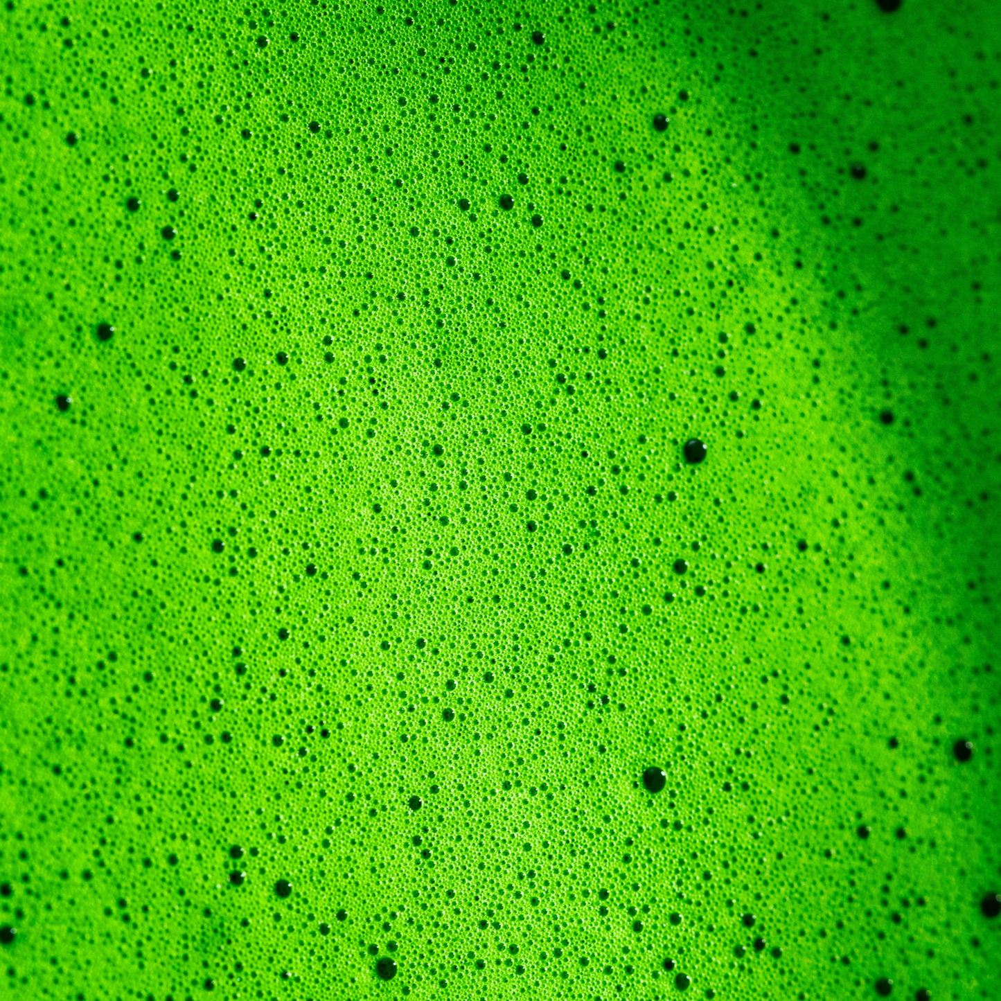 Macro detail of Master's Reserve matcha powder showing the fine, naturally vivid green colour from 21-day shaded Okumidori cultivar.