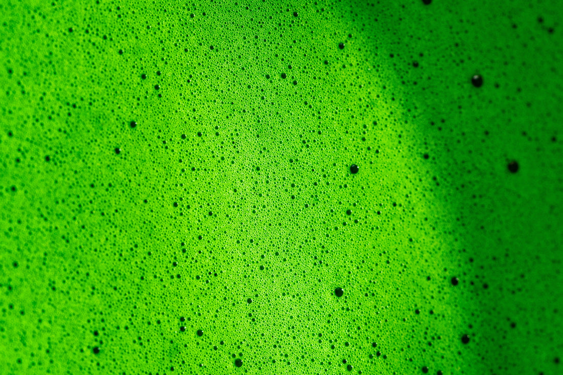 What Cafes Don't Tell You About How They Make Matcha