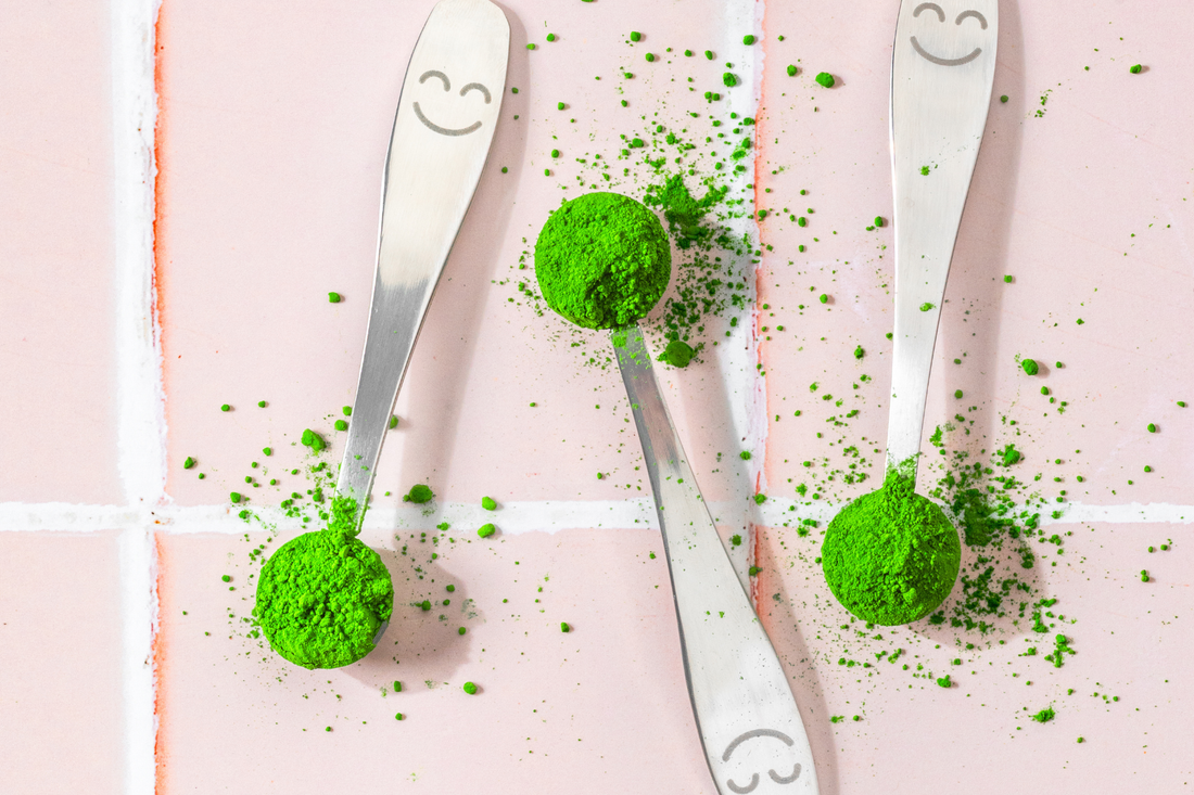 Is Matcha Better Than Green Tea? What the Science Says